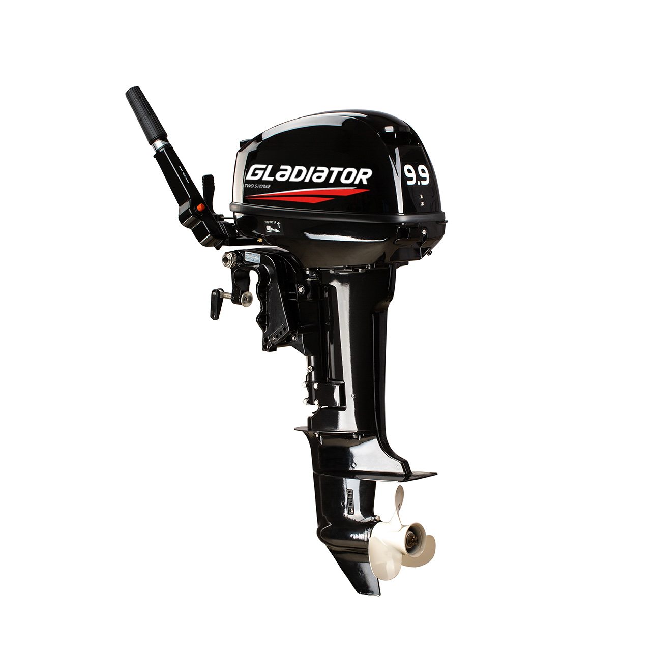 ЛОДОЧНЫЙ МОТОР GLADIATOR G9.9FHS в Орехово-Зуево