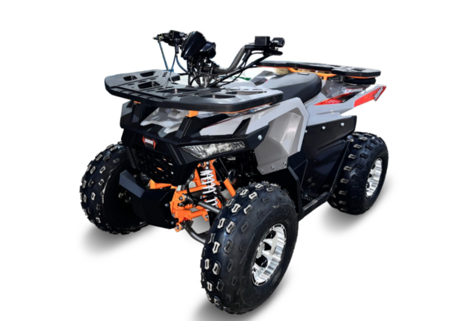 Квадроцикл GBM DAXTER 220 NEW PREMIUM в Орехово-Зуево