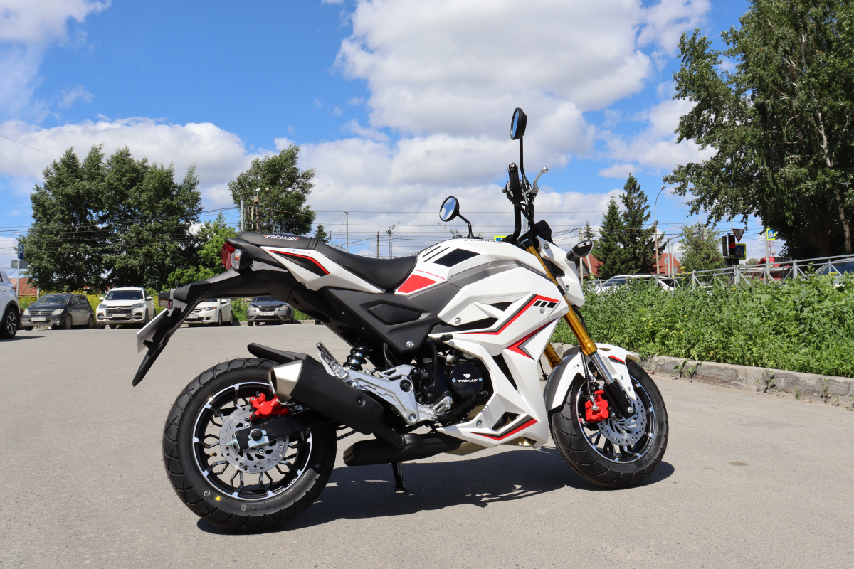 Мотоцикл PROMAX STRYKER 200(49) 2.0 в Орехово-Зуево