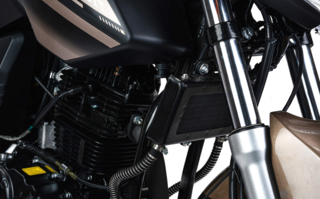 Мотоцикл MOTOLAND (МОТОЛЕНД) 300 BANDIT в Орехово-Зуево