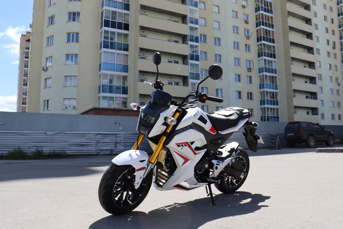 Мотоцикл PROMAX STRYKER 200(49) 2.0 в Орехово-Зуево
