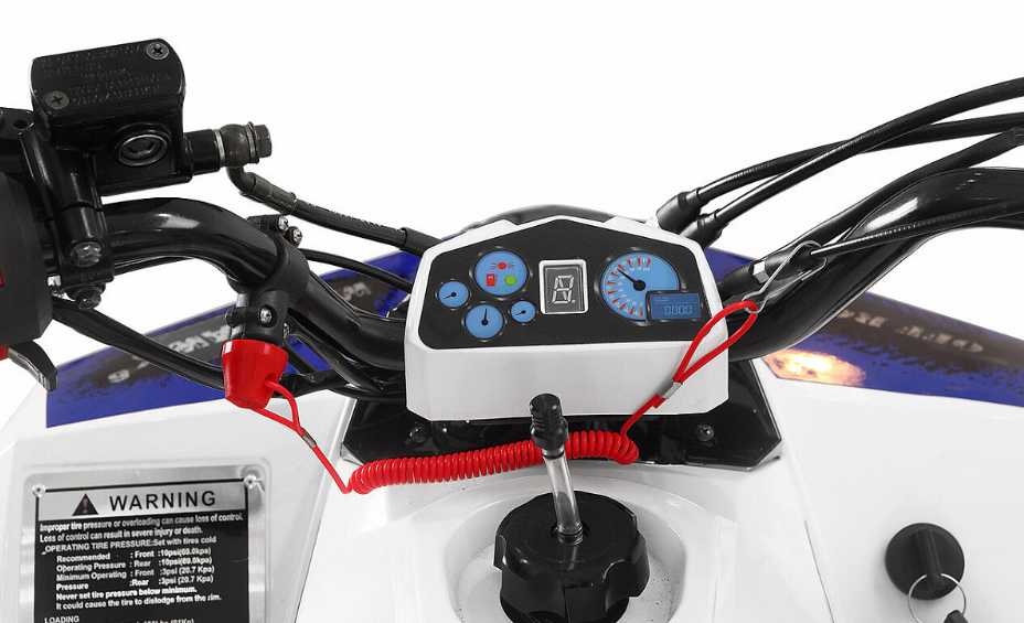 Квадроцикл Yacota Raposa PRO-SPORT в Орехово-Зуево