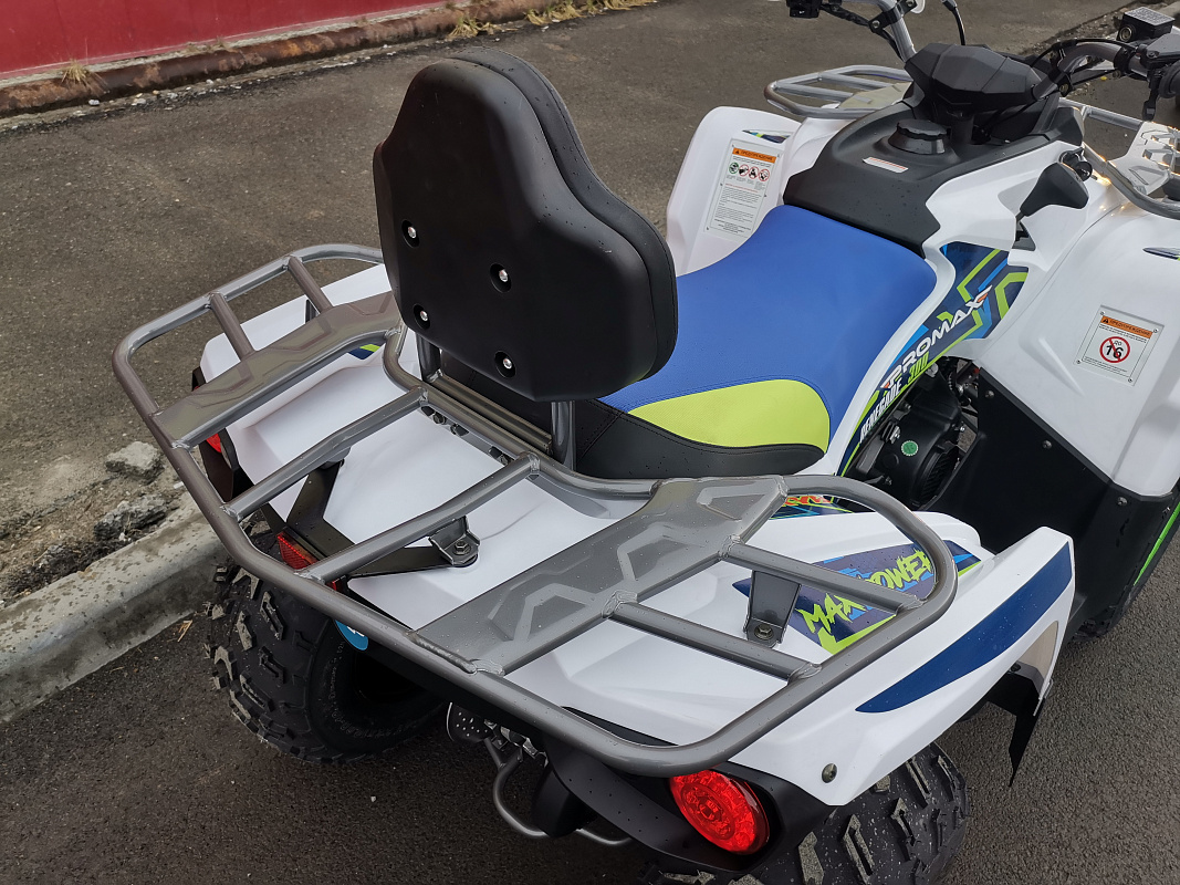 Квадроцикл PROMAX RENEGADE 280 LUX (2025) в Орехово-Зуево