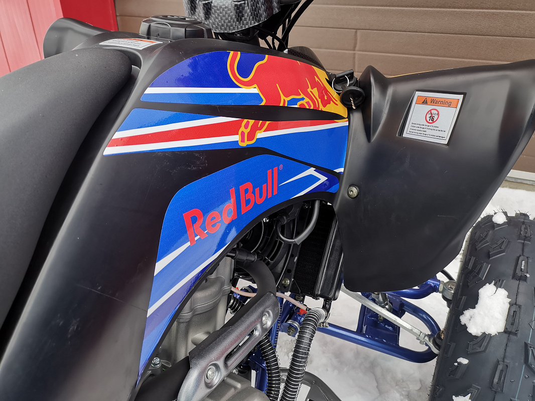 Квадроцикл PROMAX RAPTOR 300 NEW RedBull в Орехово-Зуево