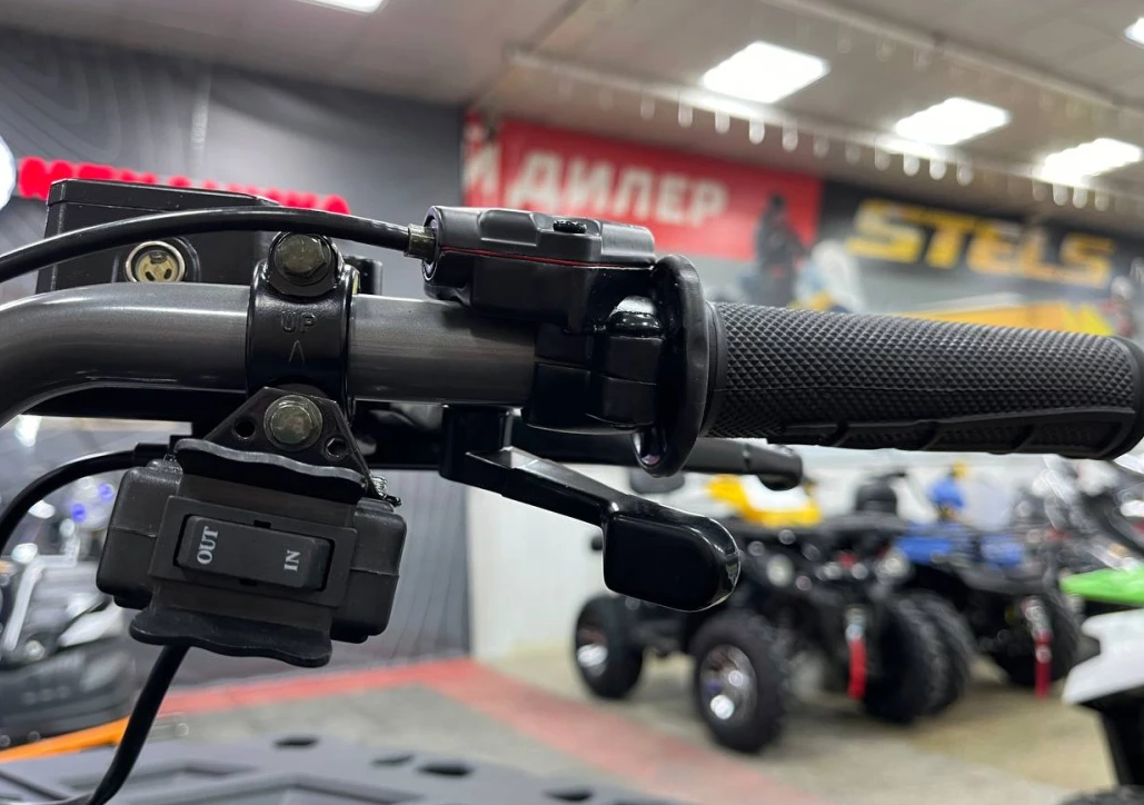 Квадроцикл PROMAX RENEGADE 300 LONG WINCH PRO (2025) в Орехово-Зуево