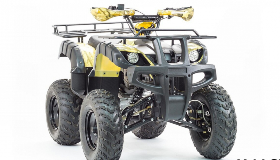 Квадроцикл MOTOLAND (МОТОЛЕНД) 250 ADVENTURE в Орехово-Зуево