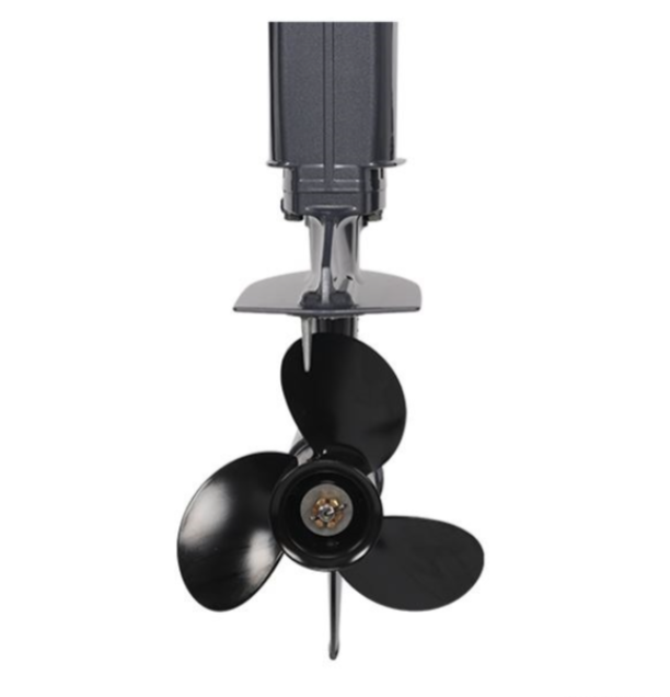 Лодочный мотор ALLFA CG Т40FW S в Орехово-Зуево