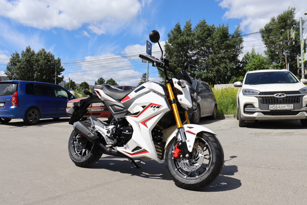 Мотоцикл PROMAX STRYKER 200(49) 2.0 в Орехово-Зуево