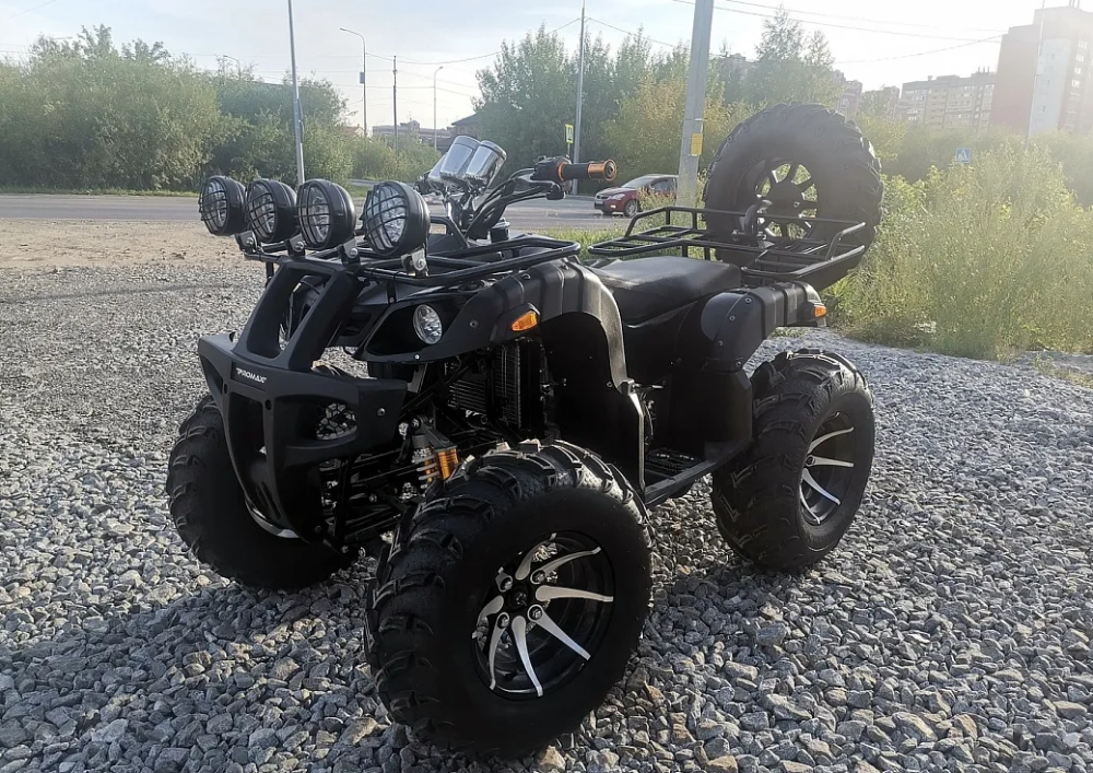 Квадроцикл PROMAX LEO 300 Max (кардан) в Орехово-Зуево