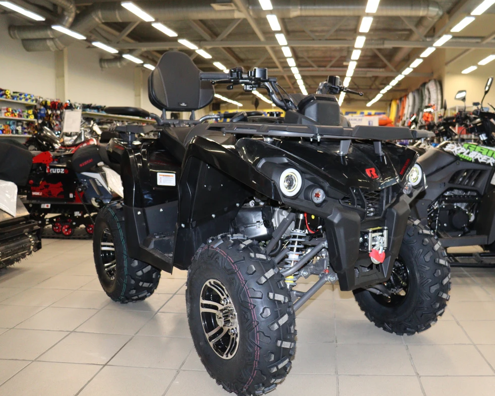 Квадроцикл PROMAX RENEGADE 300 LONG WINCH PRO (2025) в Орехово-Зуево