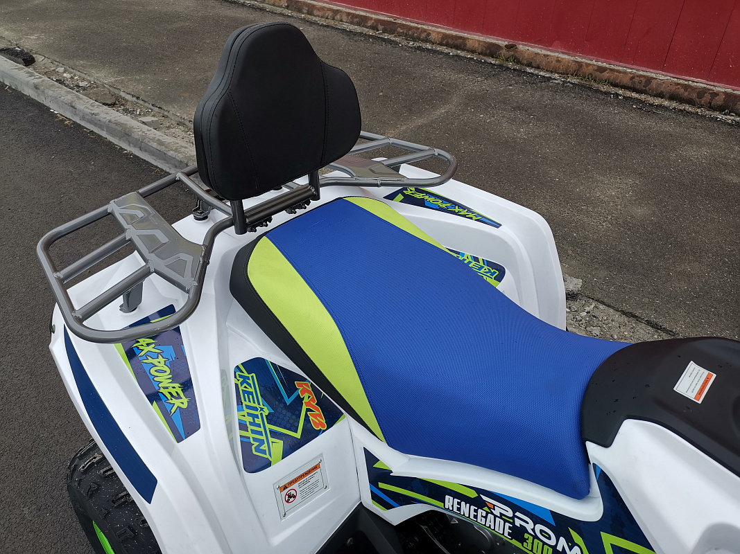 Квадроцикл PROMAX RENEGADE 280 LUX (2025) в Орехово-Зуево