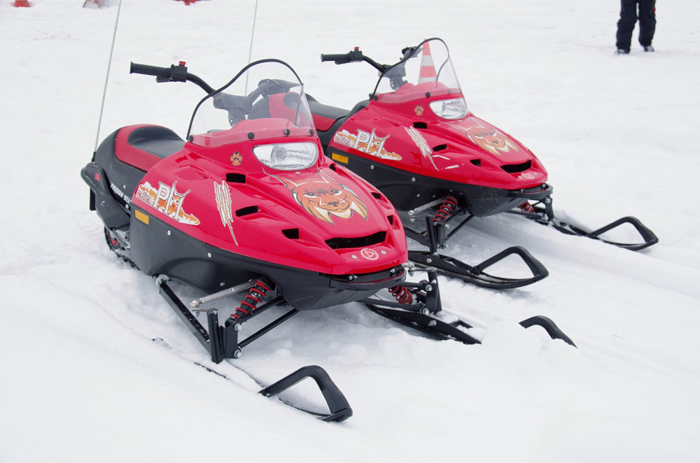 Снегоход РМ ТАЙГА РЫСЬ в Орехово-Зуево