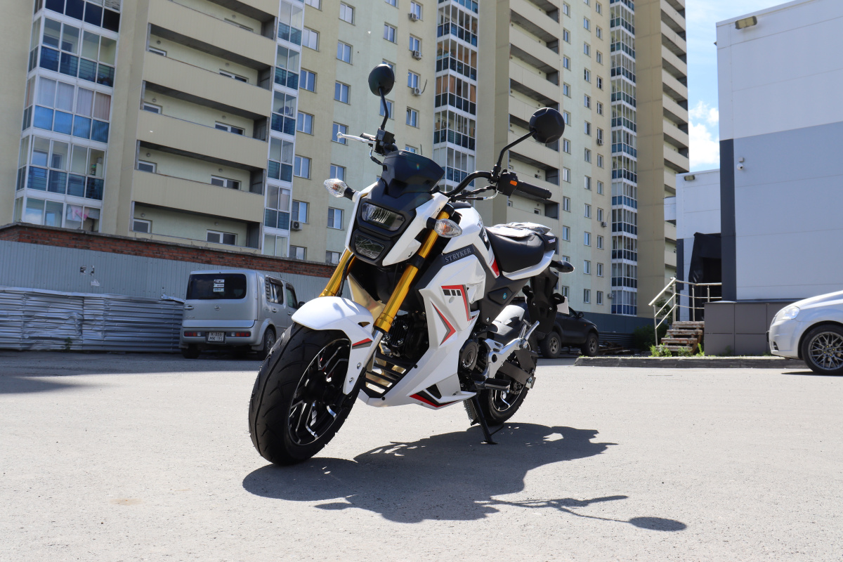 Мотоцикл PROMAX STRYKER 200(49) 2.0 в Орехово-Зуево