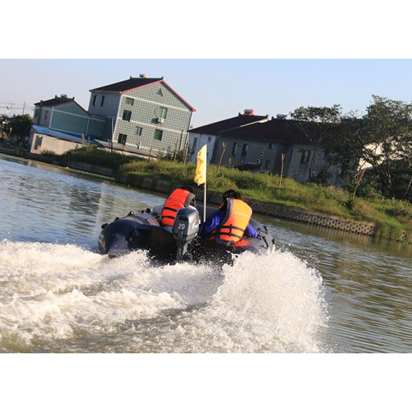 ЛОДОЧНЫЙ МОТОР ALLFA CG Т20 в Орехово-Зуево