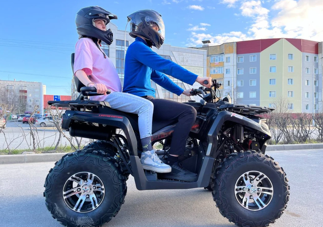 Квадроцикл PROMAX RENEGADE 300 LONG WINCH PRO (2025) в Орехово-Зуево