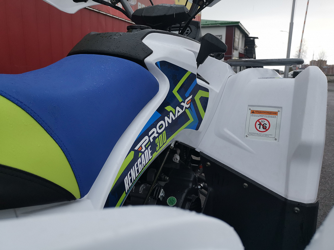 Квадроцикл PROMAX RENEGADE 280 LUX (2025) в Орехово-Зуево