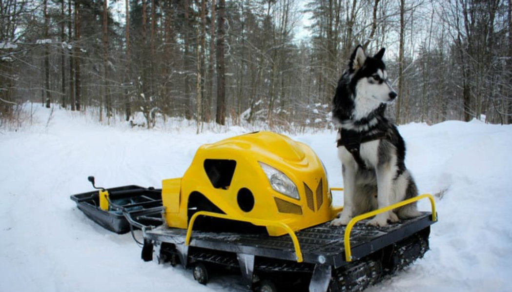Мотобуксировщик LEBEDEV MOTORS ВОЛКОДАВ POWER V13 в Орехово-Зуево