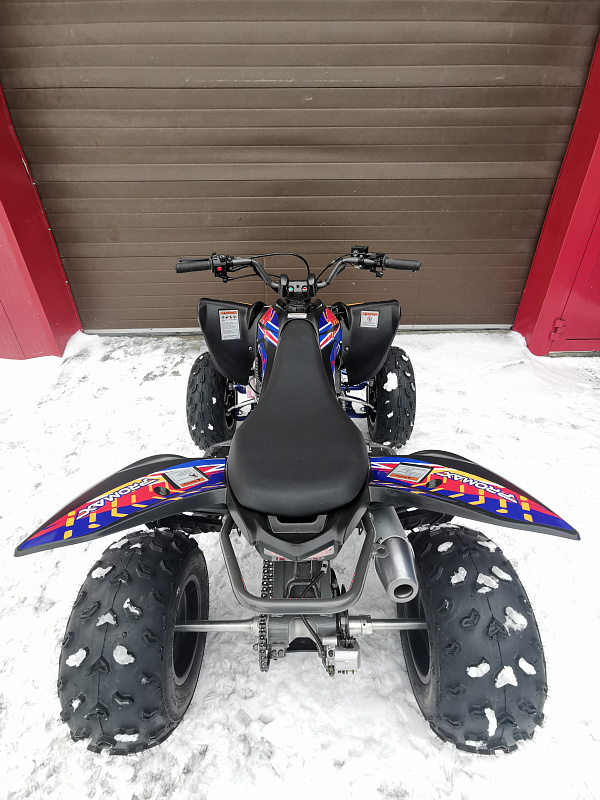 Квадроцикл PROMAX RAPTOR 300 NEW RedBull в Орехово-Зуево