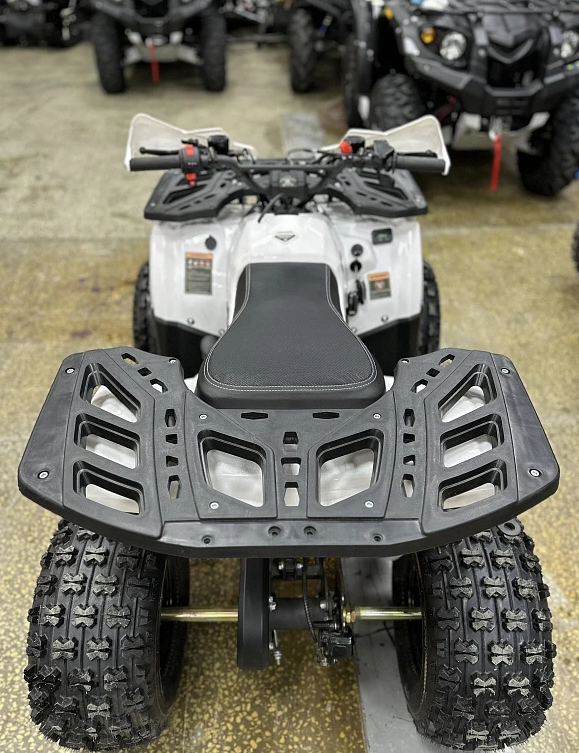 Квадроцикл PROMAX WILD 2.0 190 в Орехово-Зуево