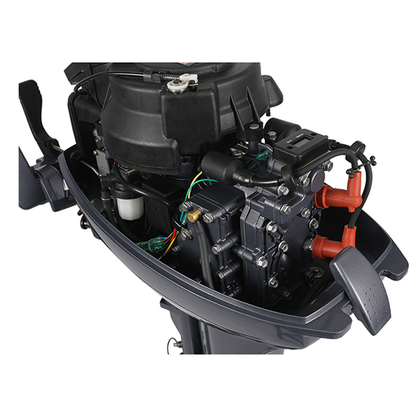 ЛОДОЧНЫЙ МОТОР ALLFA CG Т9,9 Limit в Орехово-Зуево