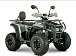 Квадроцикл YACOTA DRAGON LUX LD 150 PRO-SPORT в Орехово-Зуево