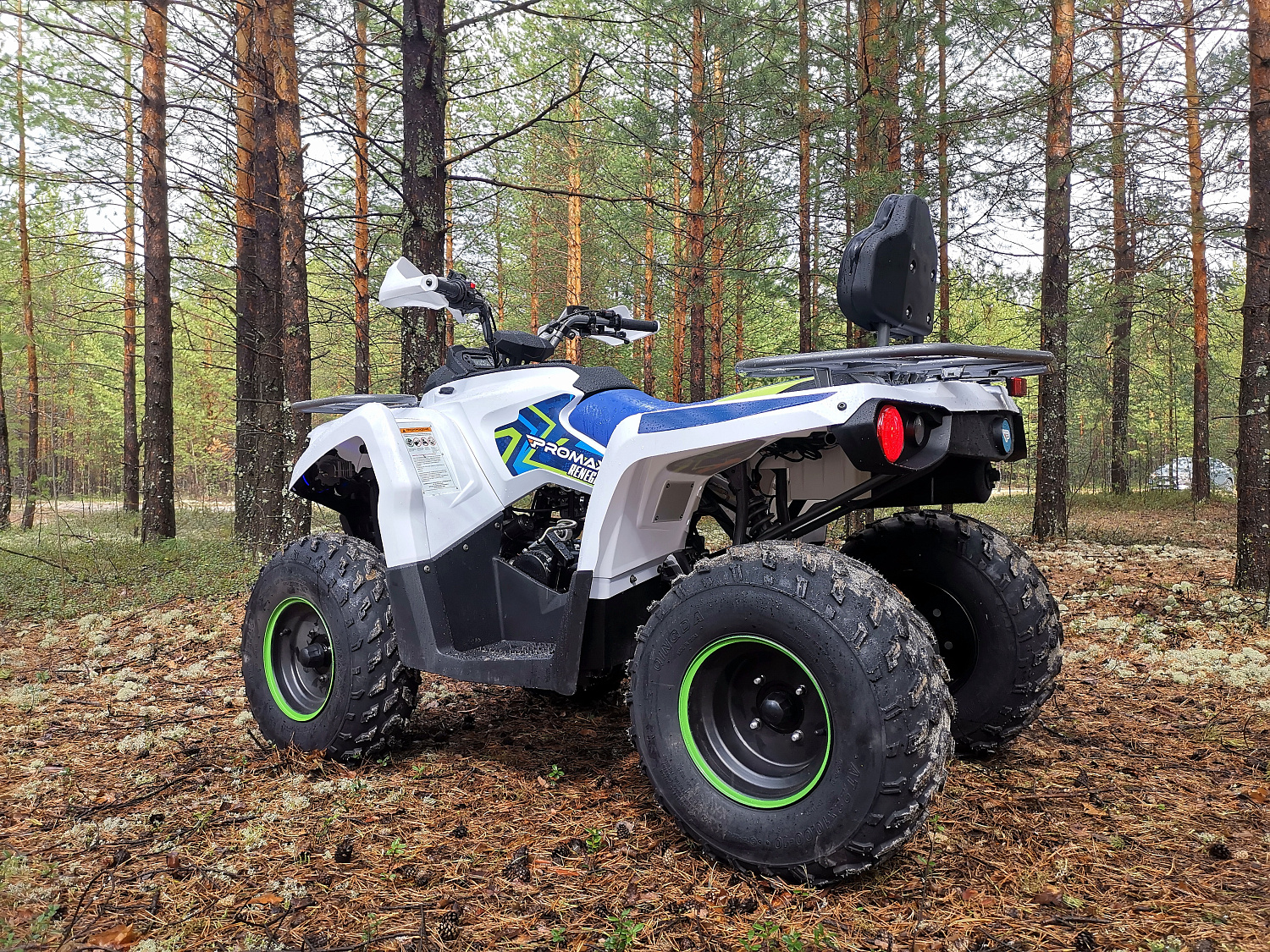 Квадроцикл PROMAX RENEGADE 280 (2025) в Орехово-Зуево
