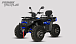 Квадроцикл PROMAX TAURUS 300 MAX-PRO LONG в Орехово-Зуево