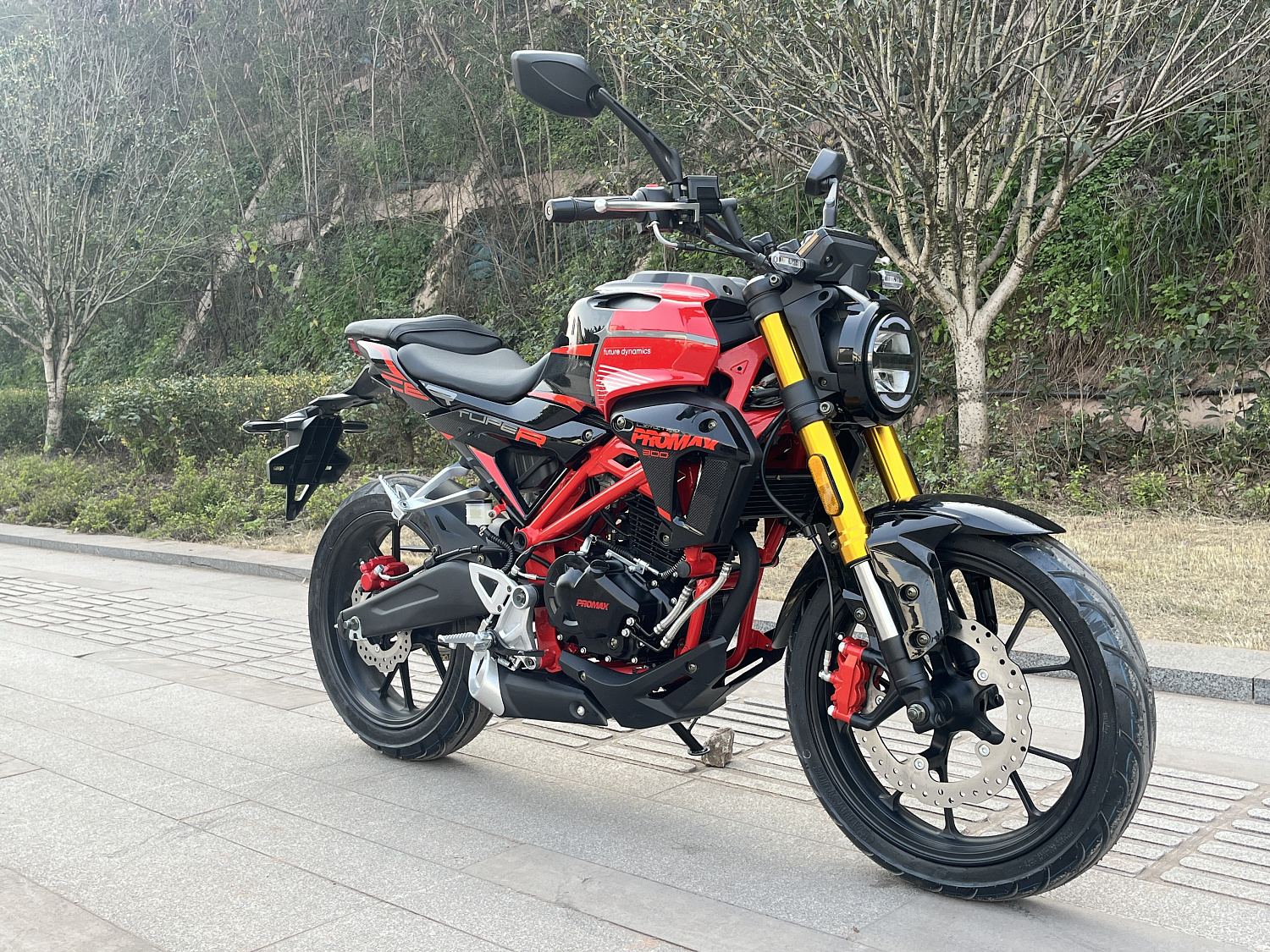 Мотоцикл PROMAX CB300 в Орехово-Зуево