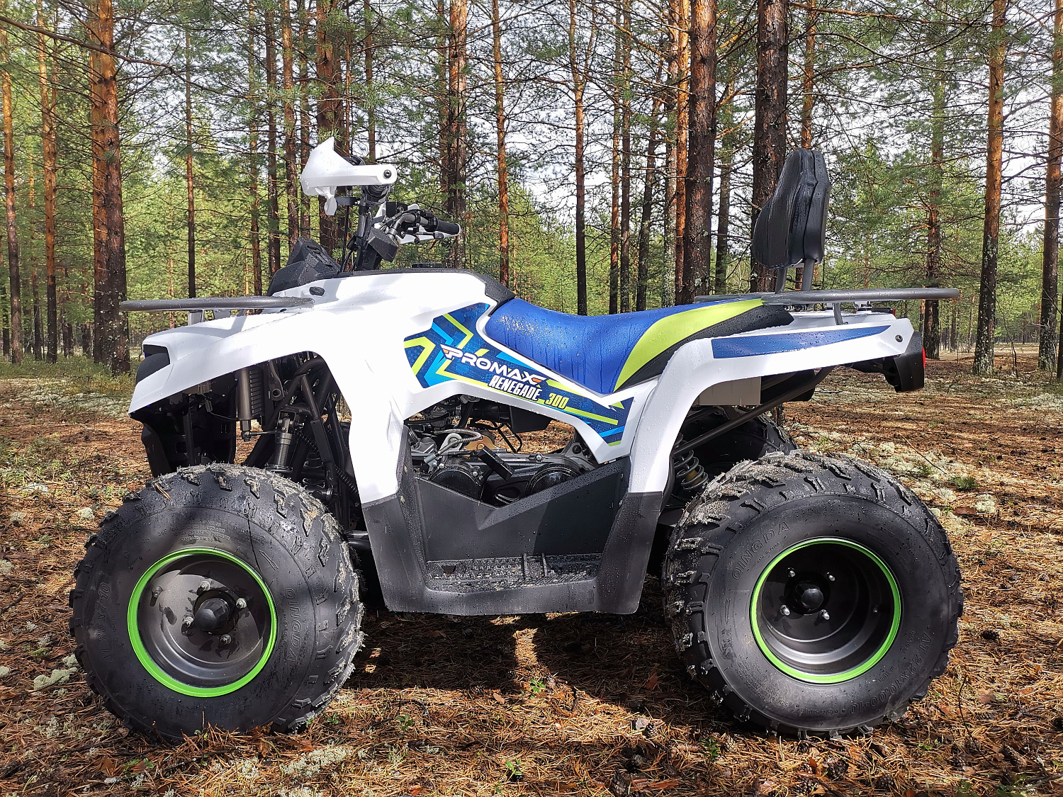 Квадроцикл PROMAX RENEGADE 280 (2025) в Орехово-Зуево