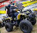 Квадроцикл PROMAX ATV 250 (2025) в Орехово-Зуево