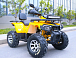 Квадроцикл MOTOLAND (МОТОЛЕНД) VOX200 WILD TRACK X PRO (баланс. вал) в Орехово-Зуево