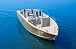 Комбинированный катер Wyatboat-470 Open в Орехово-Зуево Комбинированный катер Wyatboat-470 Open в Орехово-Зуево