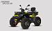 Квадроцикл PROMAX TAURUS 300 MAX-PRO LONG в Орехово-Зуево